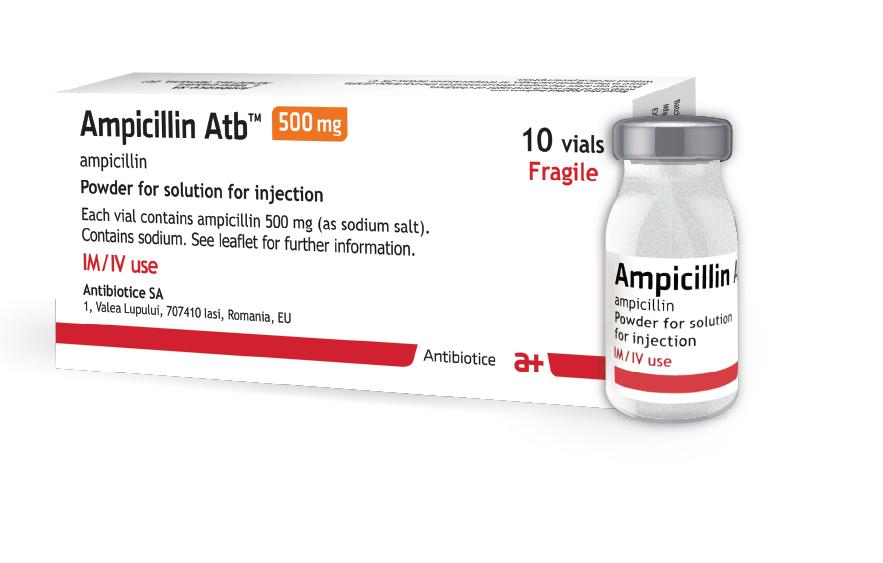 Ampicillin 500mg IM/IV